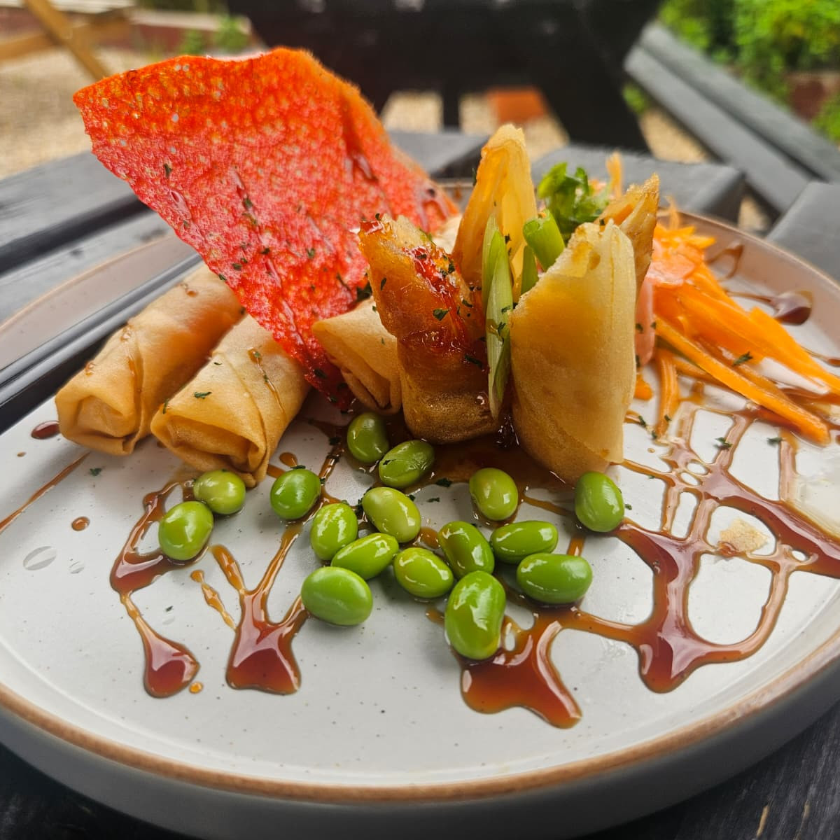 SPRING ROLLS (Veg)