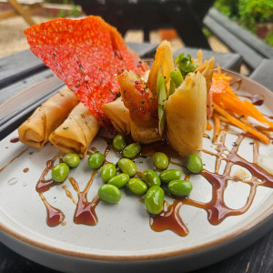 SPRING ROLLS (Veg)